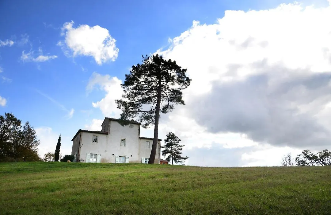Il Podere Degli Artisti-1